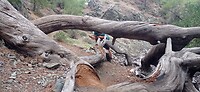 IMG_20251027_141206