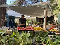IMG_8425