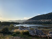 IMG_8407