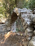 IMG_8489