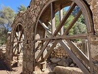 IMG_8476