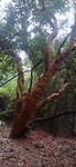 IMG_20251028_162056