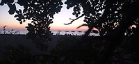 IMG_20251030_070354