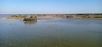 IMG_20260118_151800