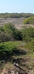 IMG_20260118_150400