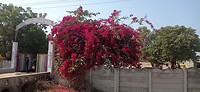 IMG_20260117_132143