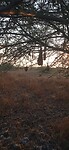 IMG_20260116_080517
