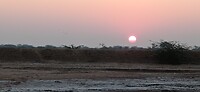 IMG_20260116_073516