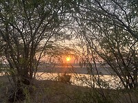 IMG_9341