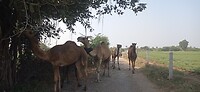 IMG_20260120_115230