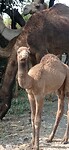 IMG_20260120_115143