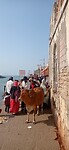 IMG_20260122_105807