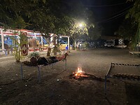 IMG_9558