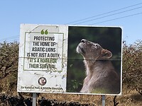 IMG_9555