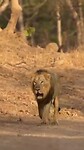 VID-20260128-WA0002