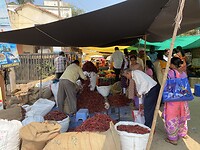 IMG_9780