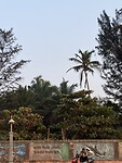 IMG_9771