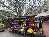 IMG_9917