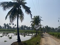 IMG_9969