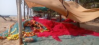 IMG_20260310_160756