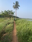 IMG_0054
