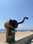 IMG_0390
