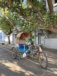 IMG_0407