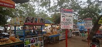 IMG_20260404_143644