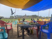 IMG_0467