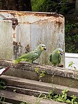 0C6735ED-47F1-4E7F-AADD-CA84DB1B6872