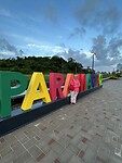 IMG_4781