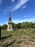 IMG_6874