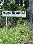 IMG_6879