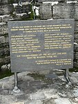 IMG_8207