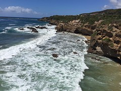 IMG_2286