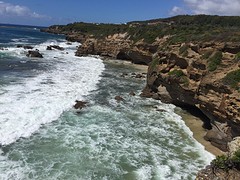 IMG_2287