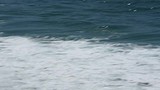 Caves Beach surfer