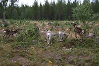 IMG-20220809-WA0009