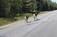 IMG-20220809-WA0002