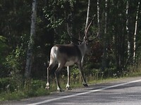 IMG-20220809-WA0001