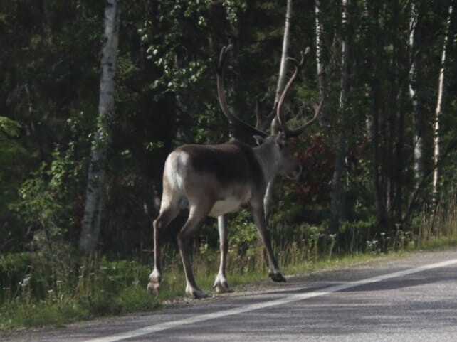 IMG-20220809-WA0001