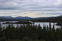 IMG-20220809-WA0004