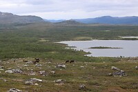 IMG-20220810-WA0014