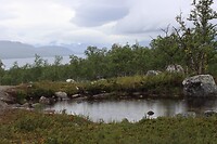 IMG-20220810-WA0016
