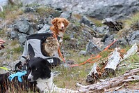 IMG-20220810-WA0018