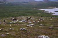 IMG-20220810-WA0013