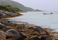 IMG-20220811-WA0021