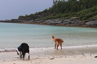 IMG-20220811-WA0020