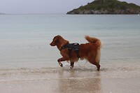 IMG-20220811-WA0018