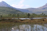 IMG-20220814-WA0007